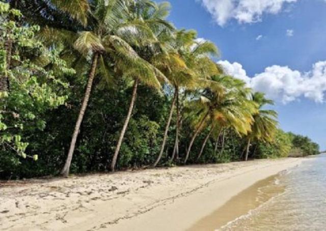Touloukaera Appt 303 Plage Kawann Saint-Louis Exterior foto